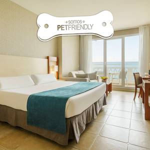 Pet friendly sea view room Hotel ILUNION Fuengirola
