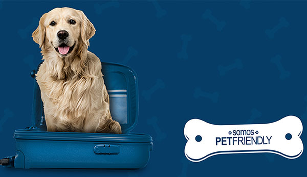Want to travel with your pet? Hotel ILUNION Fuengirola